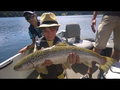 Saumon atlantique lac du Bouchet